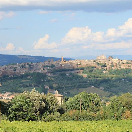 Agriturismo Borgo Pirolino Orvieto Ngoại thất bức ảnh